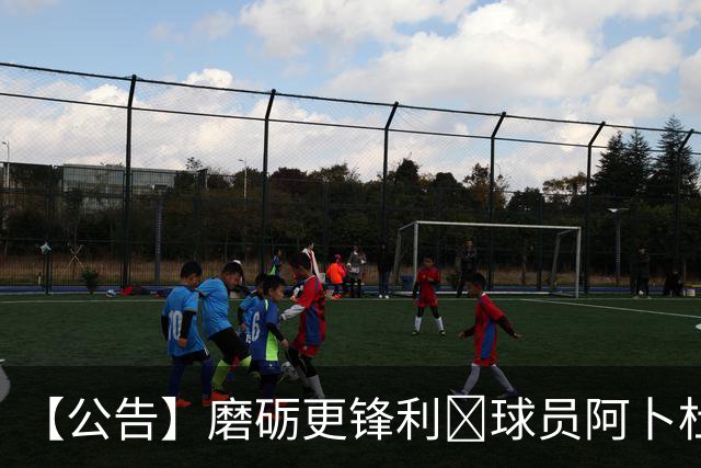 【公告】磨砺更锋利🐺球员阿卜杜瓦哈普租借离队