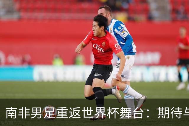 南非男足重返世界杯舞台：期待与墨西哥的对决！