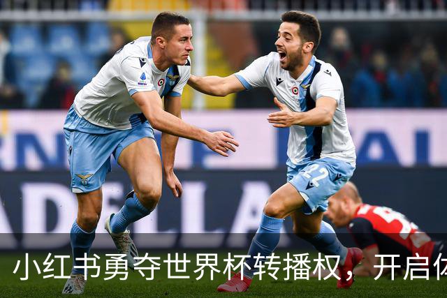 小红书勇夺世界杯转播权，开启体育内容新篇章