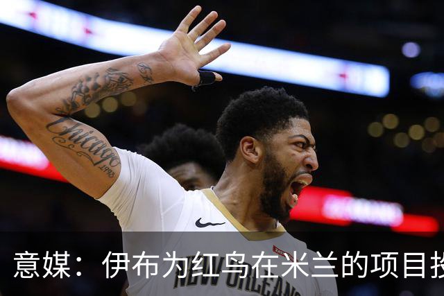 意媒：伊布为红鸟在米兰的项目投资数千万欧，已和俱乐部深度绑定