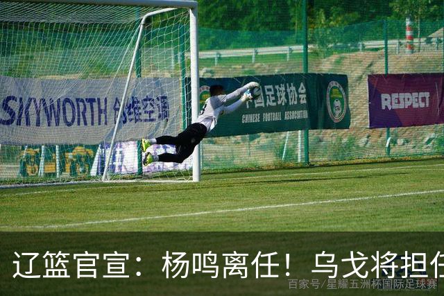 辽篮官宣：杨鸣离任！乌戈将担任辽宁男篮主帅